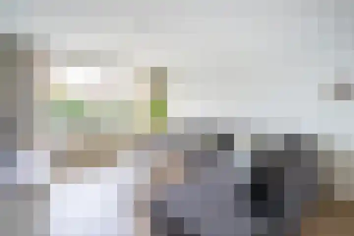 De Tocht 14 Avenhorn thumbnail 11