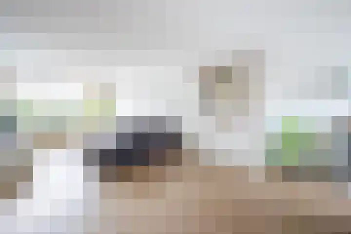 De Tocht 14 Avenhorn thumbnail 12