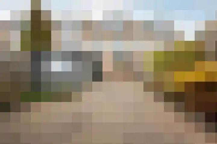 De Tocht 14 Avenhorn thumbnail 39