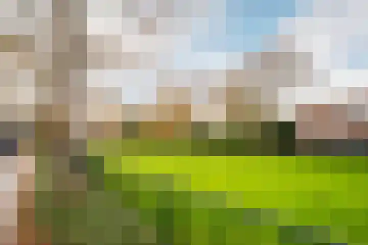 De Tocht 14 Avenhorn thumbnail 43