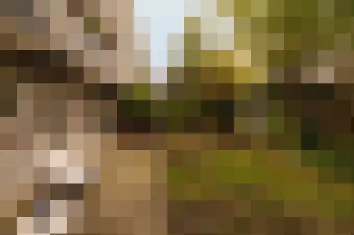 de Tocht 18 Benthuizen thumbnail 21