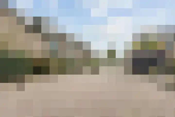 de Tocht 18 Benthuizen thumbnail 41
