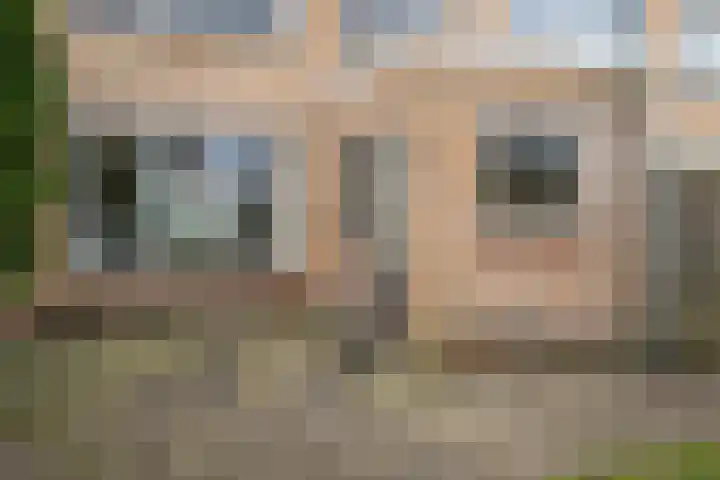 De Tocht 6 Avenhorn thumbnail 6