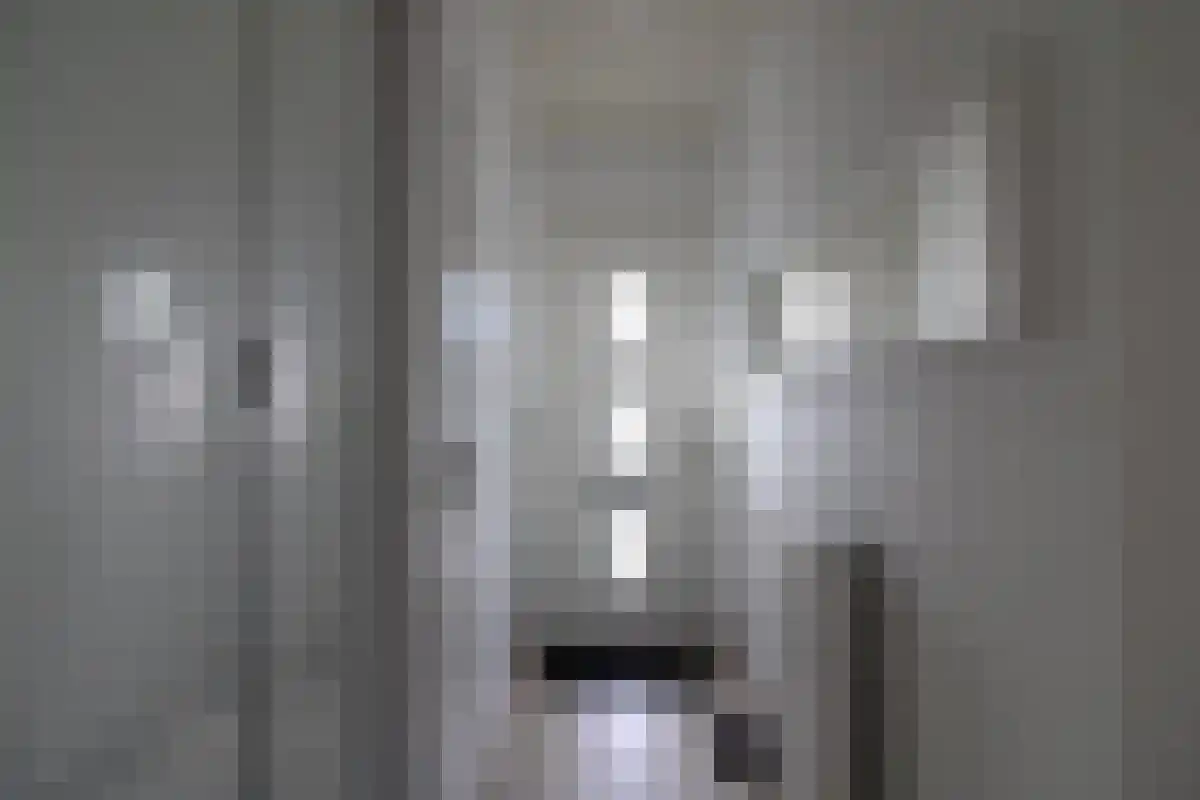 De Toe-akker 5 Waalre foto 3