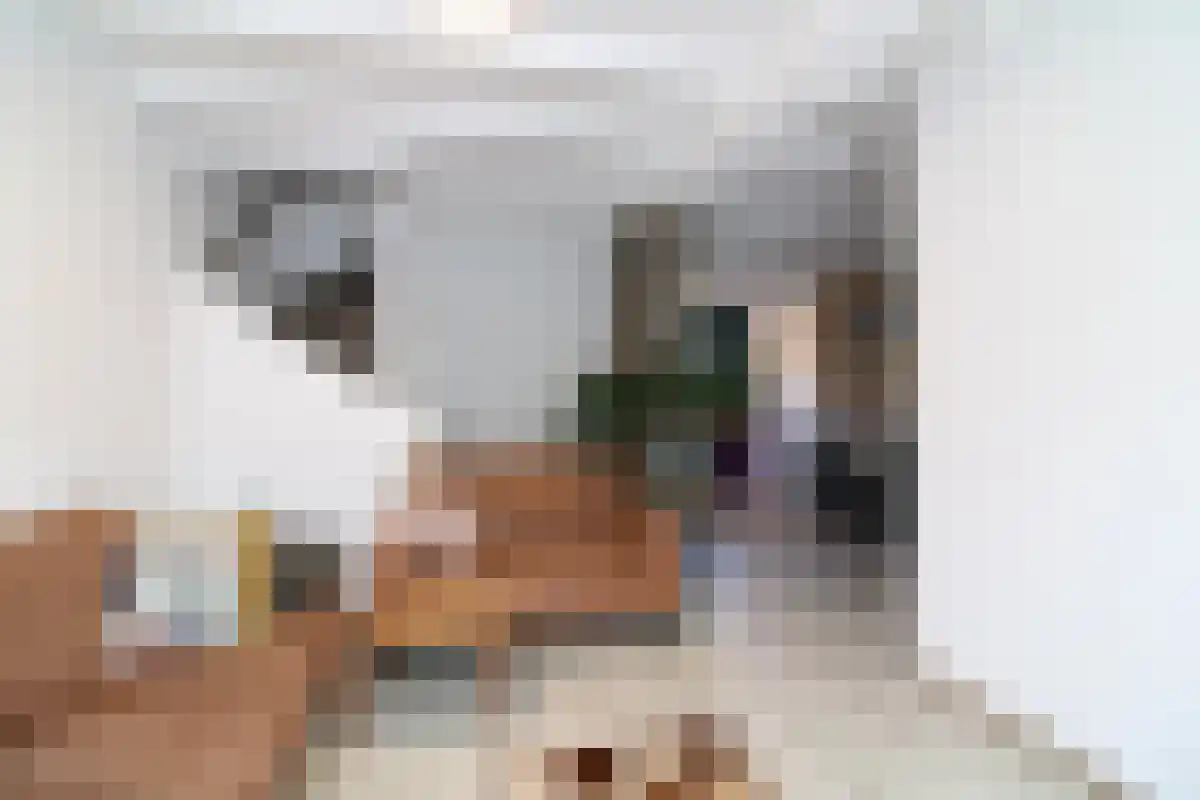 De Toe-akker 5 Waalre thumbnail 5