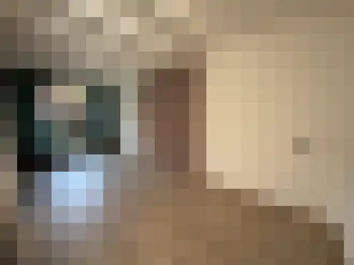 De Toe-akker 7 Waalre thumbnail 10
