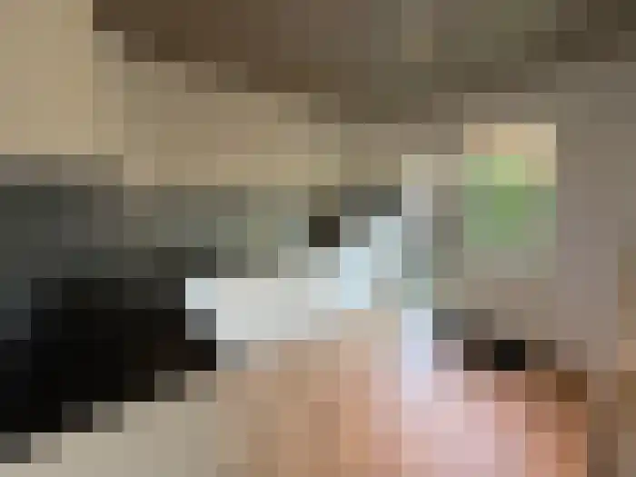 De Toe-akker 7 Waalre thumbnail 12