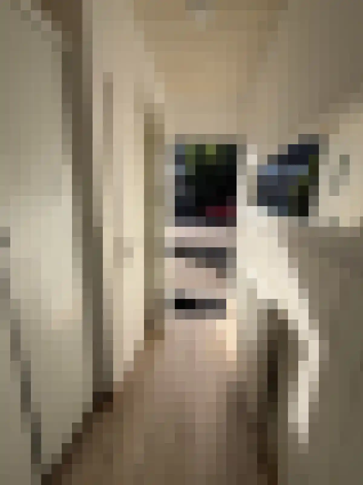 De Toe-akker 7 Waalre foto 2