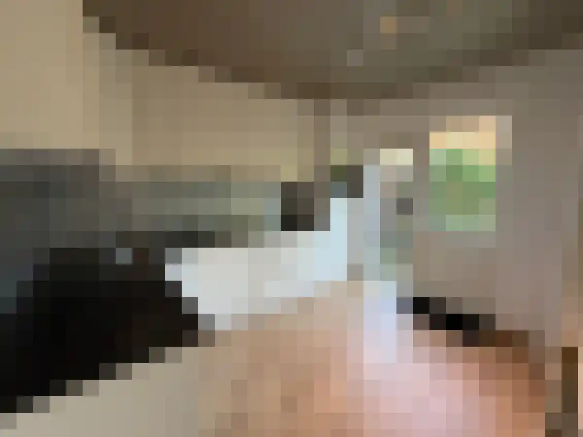 De Toe-akker 7 Waalre thumbnail 6