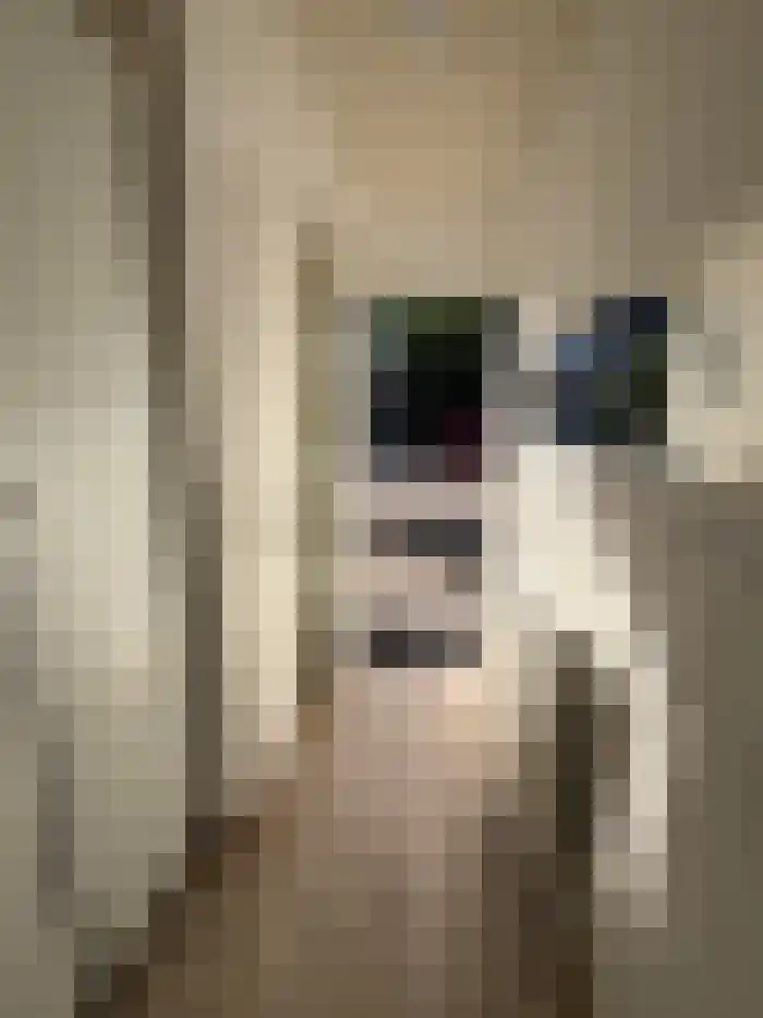 De Toe-akker 7 Waalre thumbnail 8
