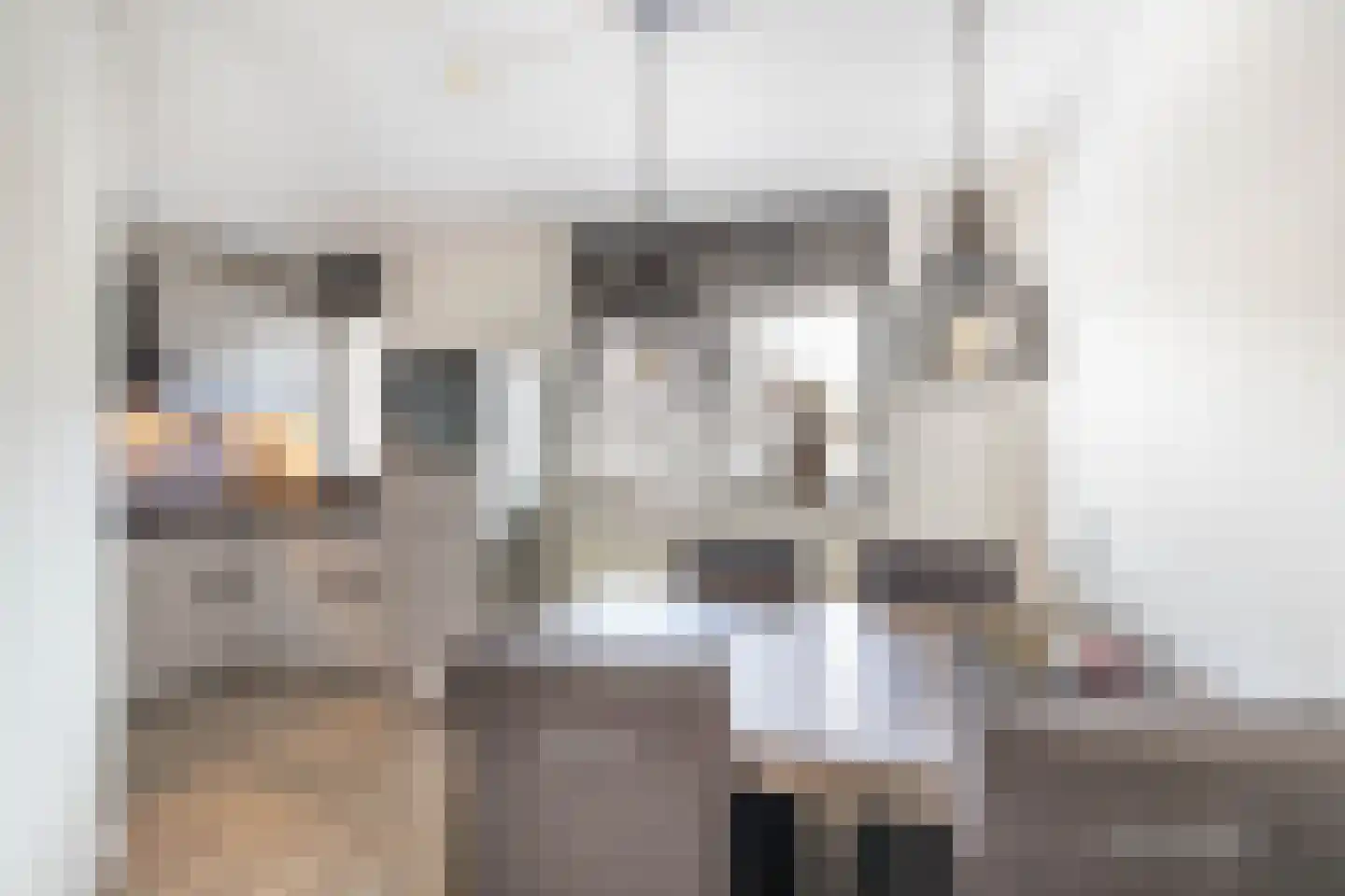 De Toekan 17 Almelo thumbnail 10