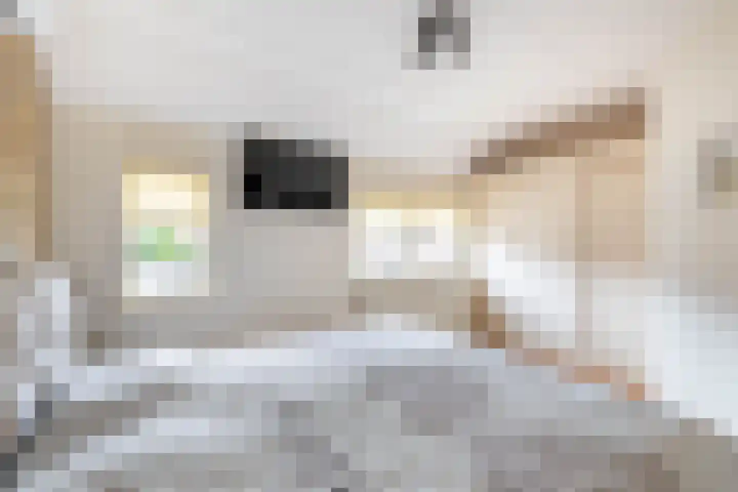 De Toekan 17 Almelo thumbnail 16
