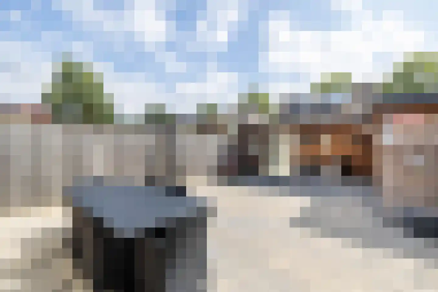 De Toekan 17 Almelo thumbnail 25