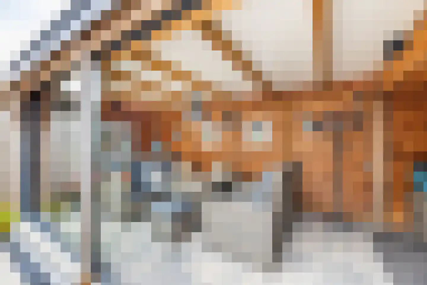 De Toekan 17 Almelo thumbnail 27