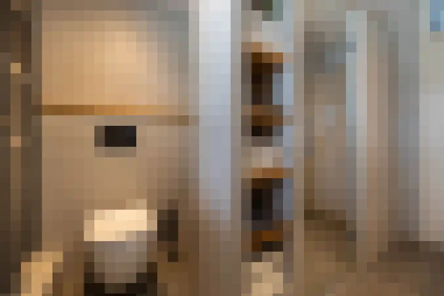 De Toekan 3 Almelo thumbnail 17