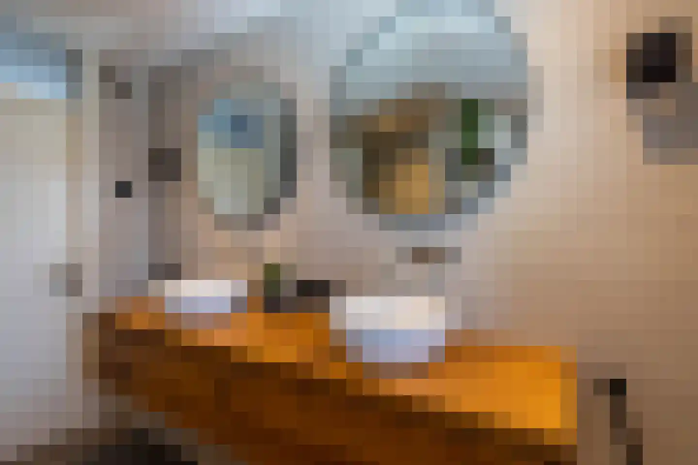 De Toekan 3 Almelo thumbnail 18