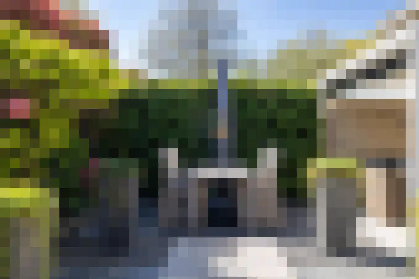 De Toekan 3 Almelo thumbnail 24