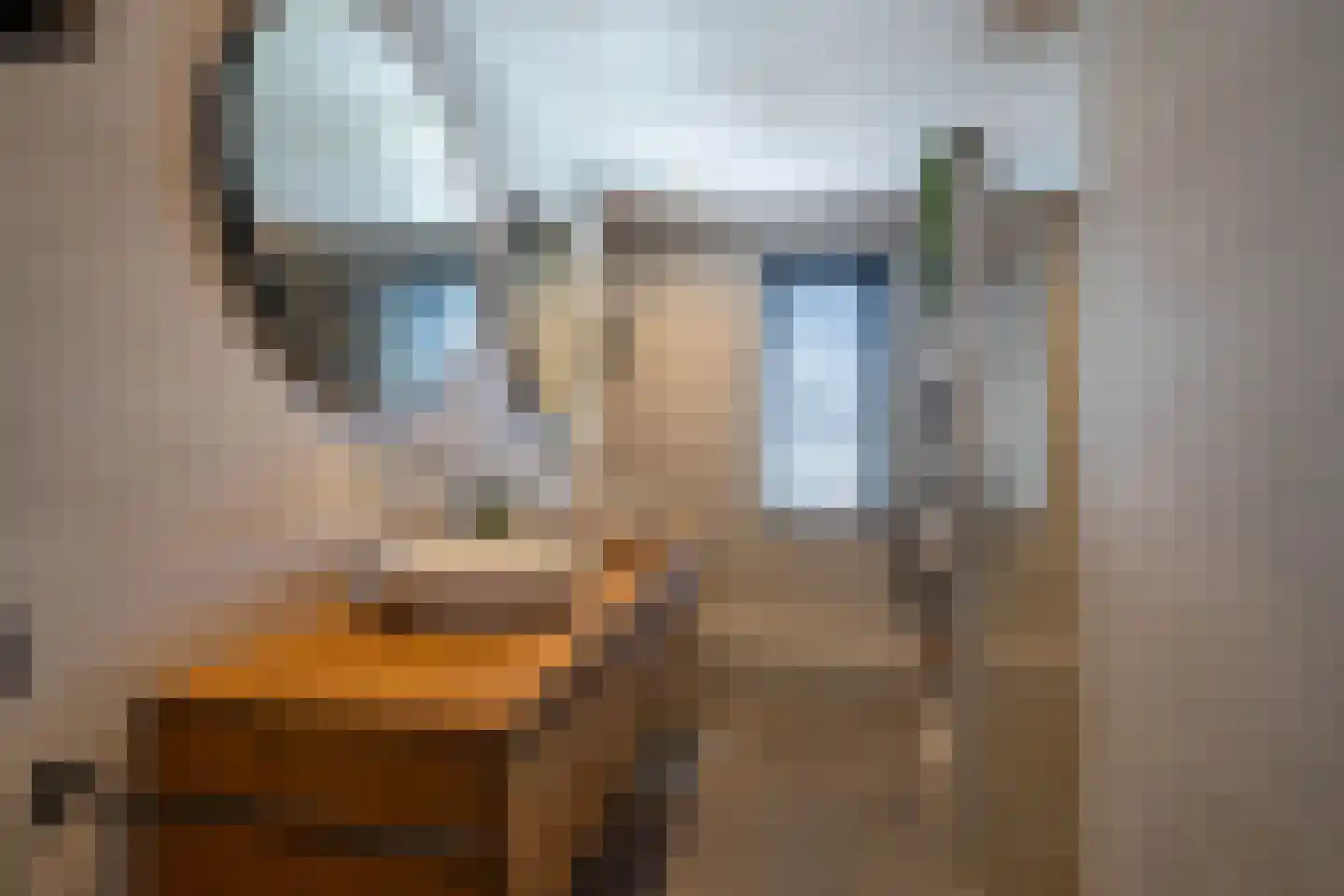 De Toekan 3 Almelo thumbnail 4