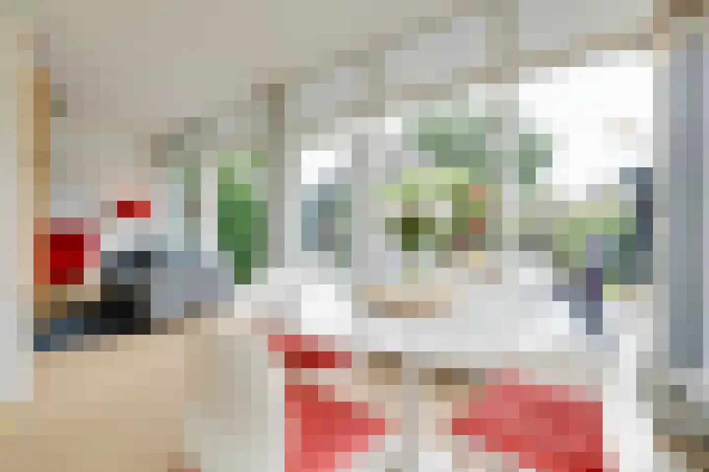 De Toekomst 111 Ouddorp thumbnail 12
