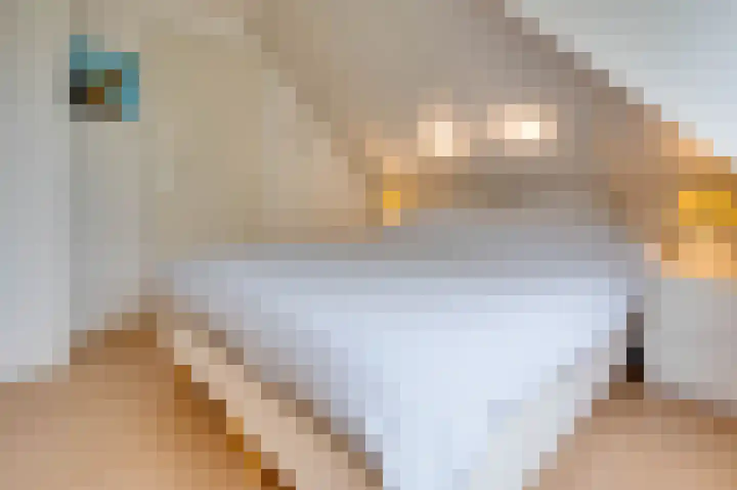 De Toekomst 111 Ouddorp thumbnail 26
