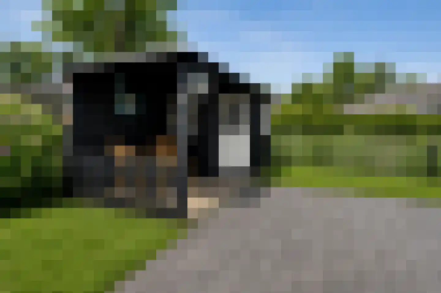 De Toekomst 111 Ouddorp thumbnail 36