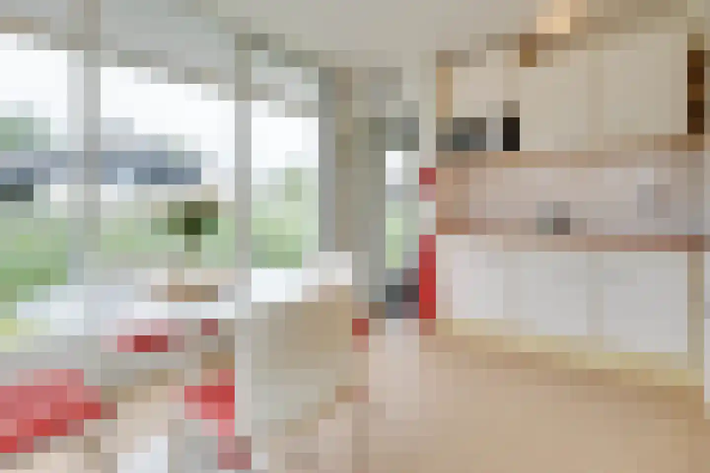 De Toekomst 111 Ouddorp thumbnail 5
