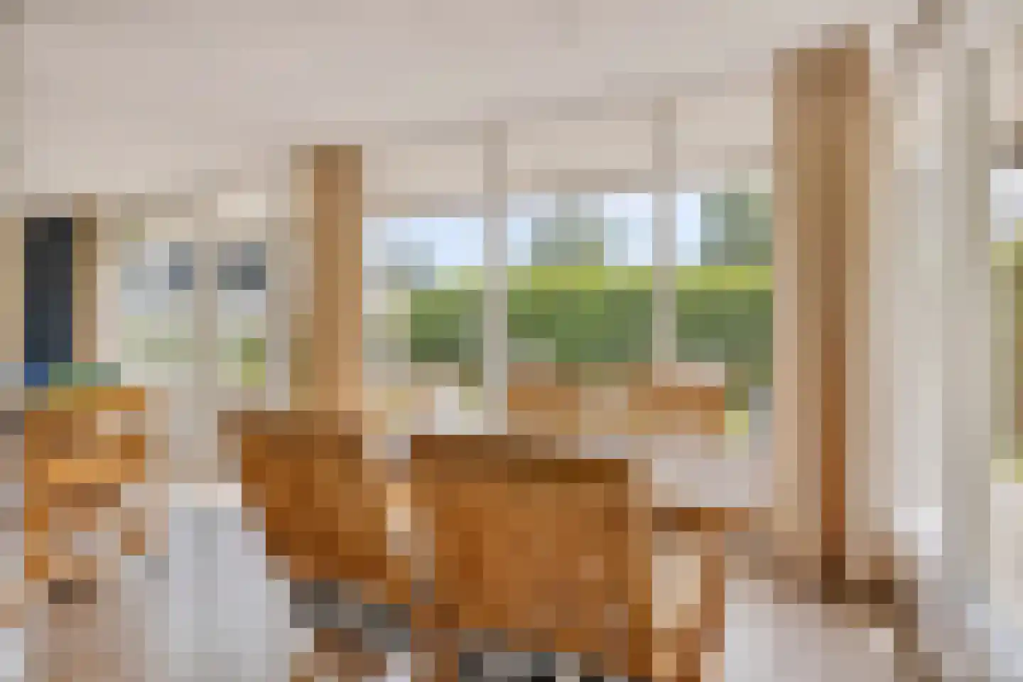 De Toekomst 119 Ouddorp thumbnail 4