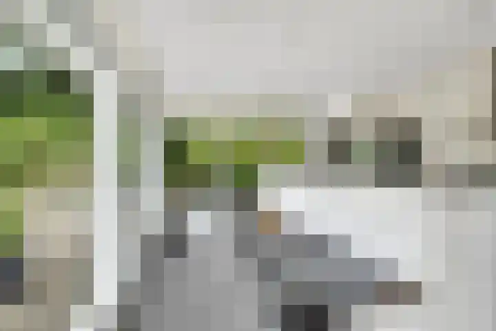 De Toekomst 122 Ouddorp thumbnail 10
