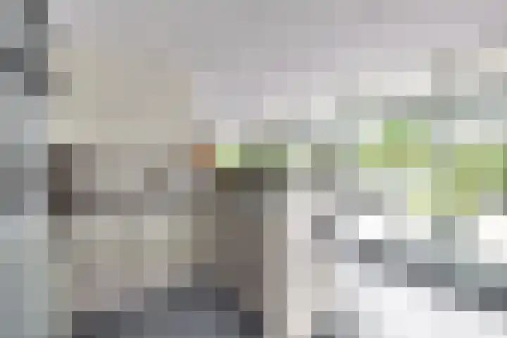 De Toekomst 122 Ouddorp thumbnail 12