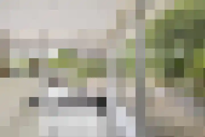 De Toekomst 122 Ouddorp thumbnail 14