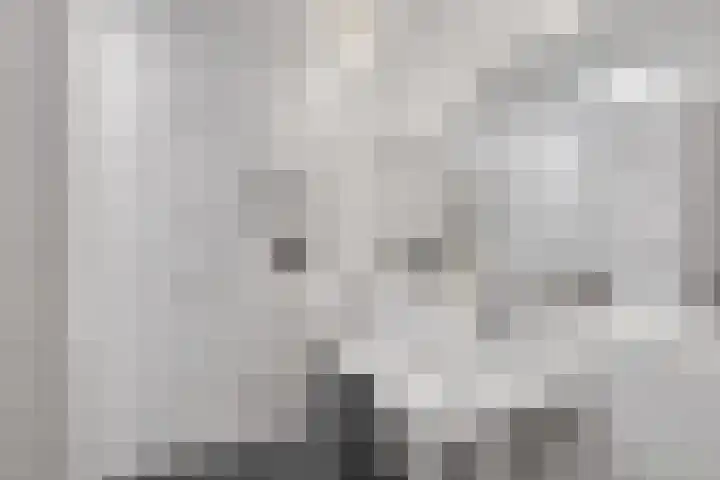 De Toekomst 122 Ouddorp thumbnail 17