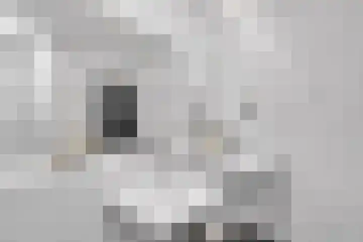 De Toekomst 122 Ouddorp thumbnail 18