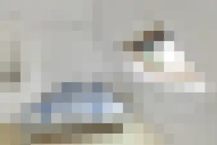 De Toekomst 122 Ouddorp thumbnail 23