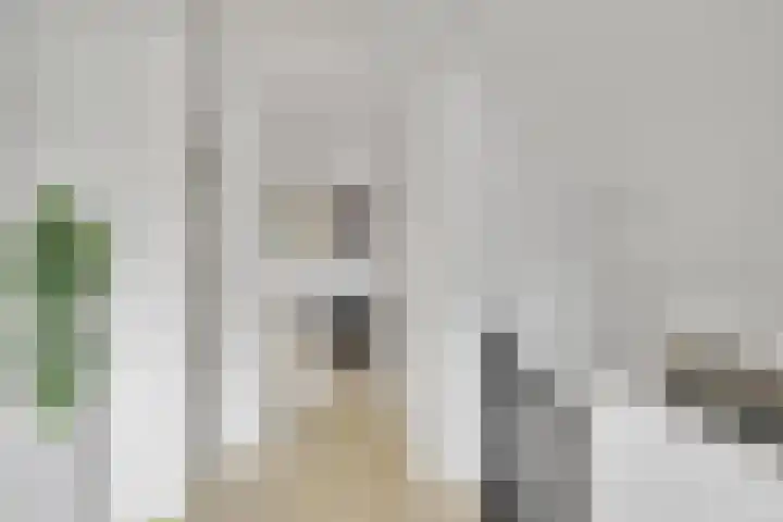 De Toekomst 122 Ouddorp thumbnail 26