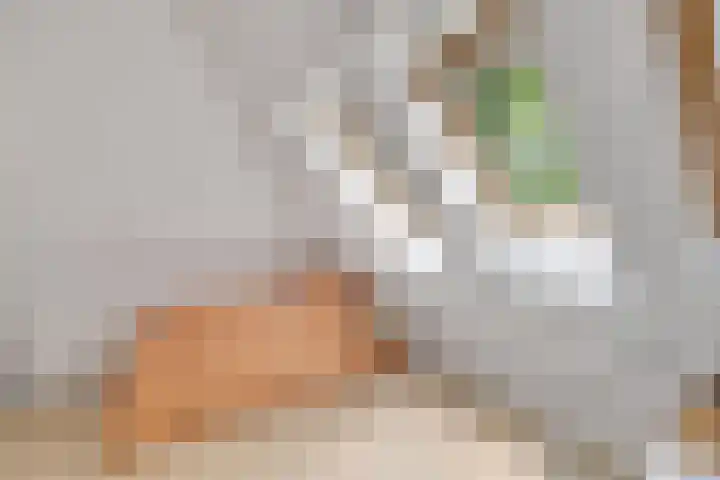 De Toekomst 122 Ouddorp thumbnail 27