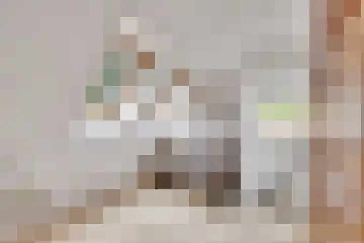De Toekomst 122 Ouddorp thumbnail 28