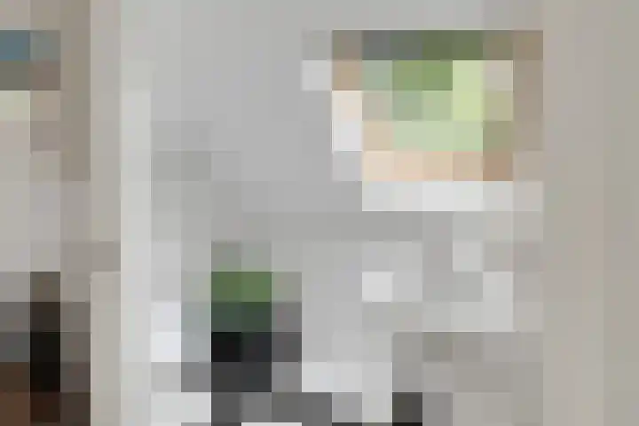 De Toekomst 122 Ouddorp thumbnail 29