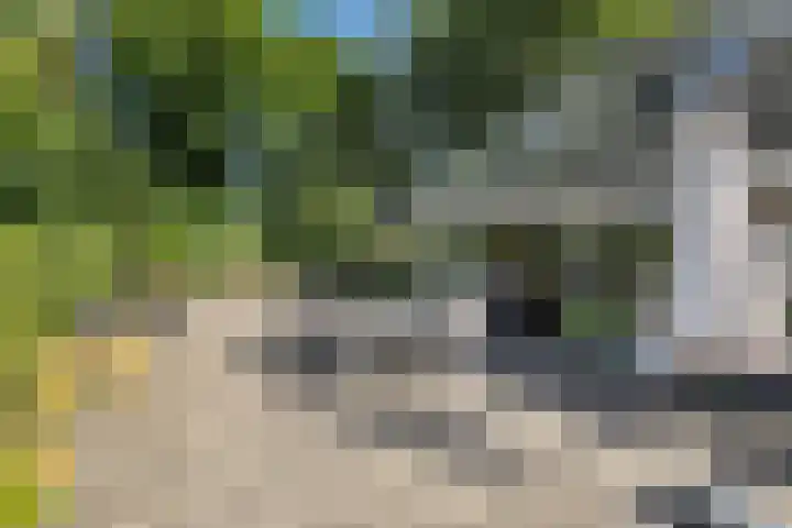 De Toekomst 122 Ouddorp thumbnail 31