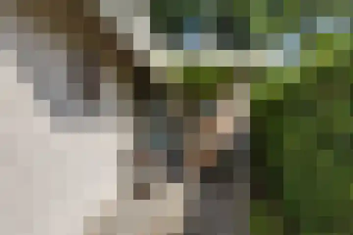 De Toekomst 122 Ouddorp thumbnail 36