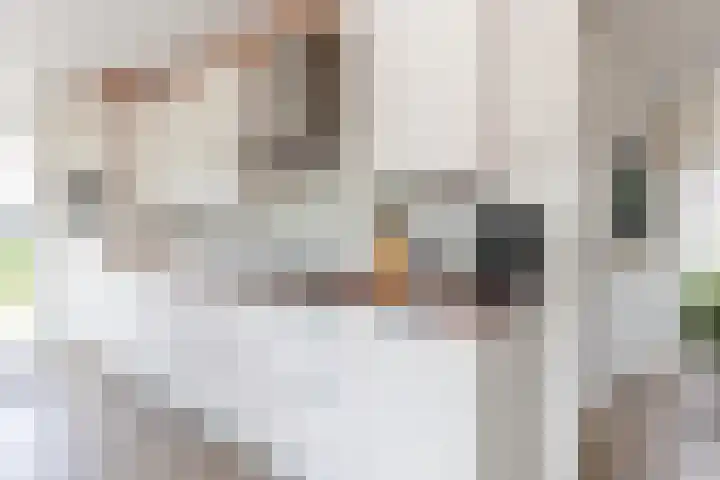 De Toekomst 126 Ouddorp thumbnail 13