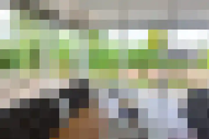 De Toekomst 126 Ouddorp thumbnail 15