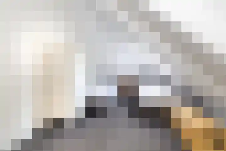 De Toekomst 126 Ouddorp thumbnail 19