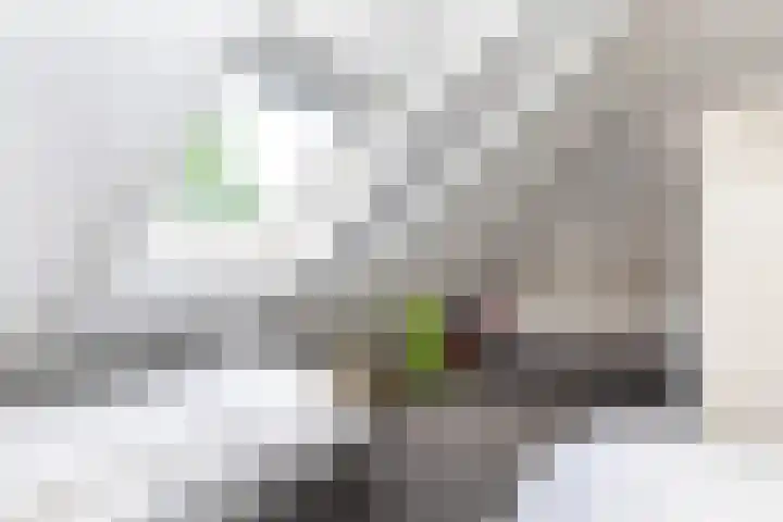 De Toekomst 126 Ouddorp thumbnail 20