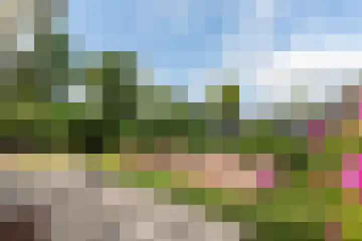 De Toekomst 126 Ouddorp thumbnail 25