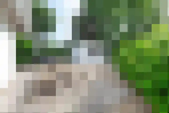 De Toekomst 126 Ouddorp thumbnail 29