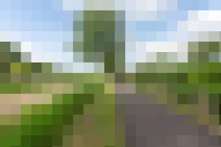 De Toekomst 126 Ouddorp thumbnail 30