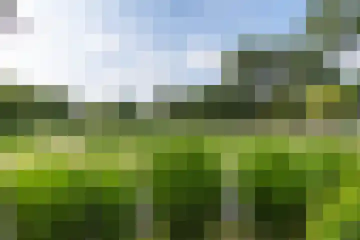 De Toekomst 126 Ouddorp thumbnail 31