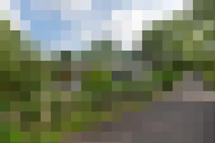 De Toekomst 126 Ouddorp thumbnail 35