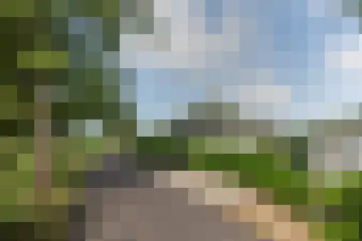 De Toekomst 126 Ouddorp thumbnail 4