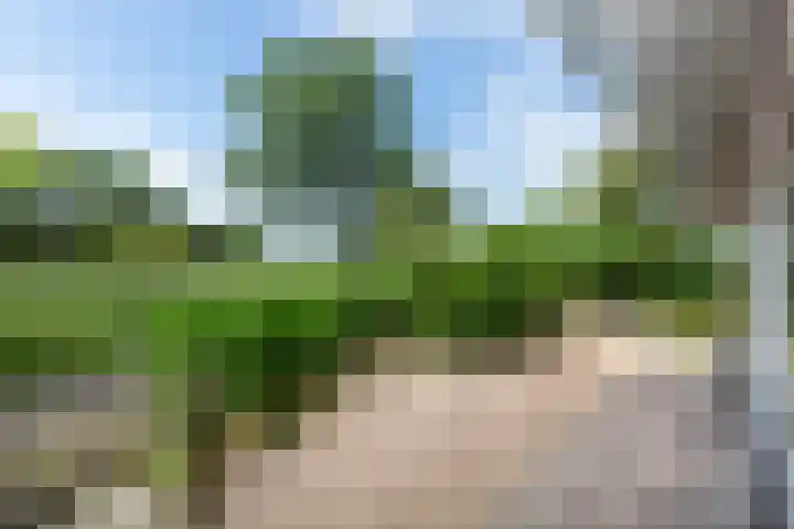De Toekomst 126 Ouddorp thumbnail 5